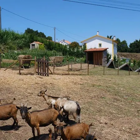Casa Jasmim, Quinta Carmo - Alcobaca/nazare Апартаменты *