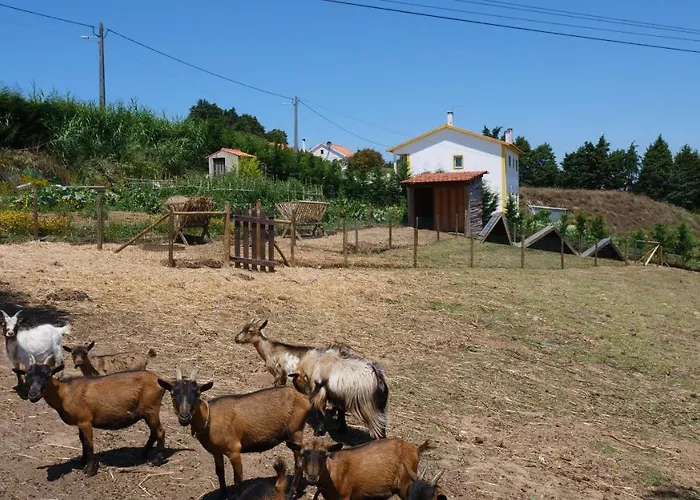 Casa Jasmim, Quinta Carmo - Alcobaça/nazaré Apartamento *